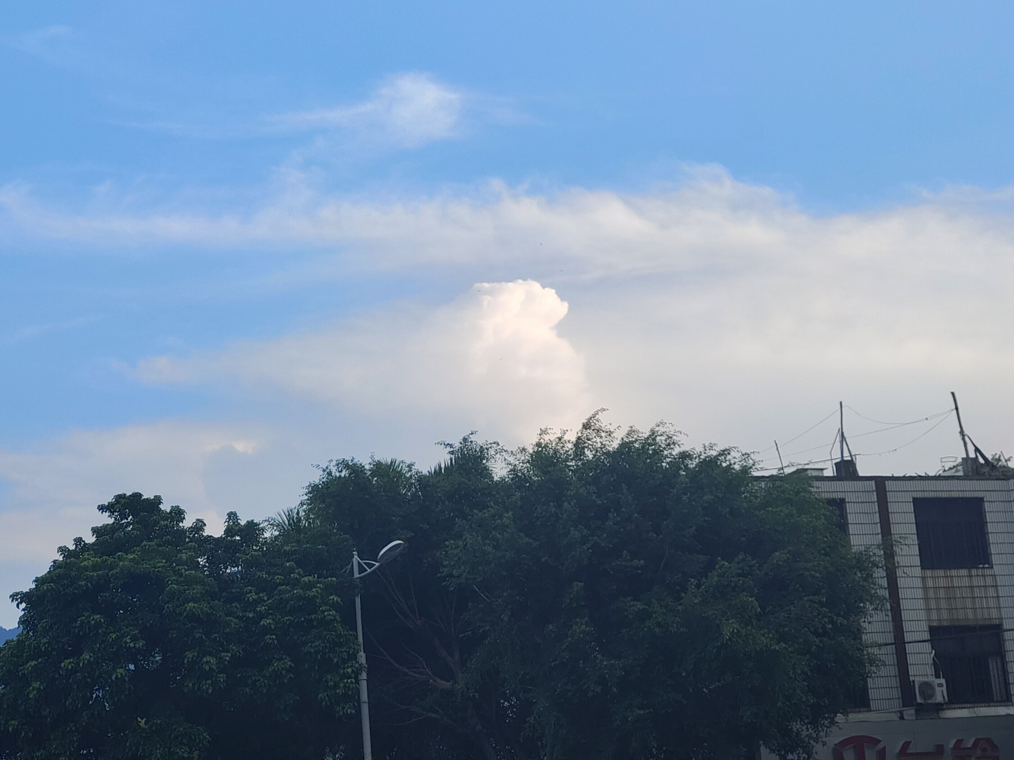 QQ图片20230811170417